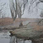 Naturschutzgebiet Neerach