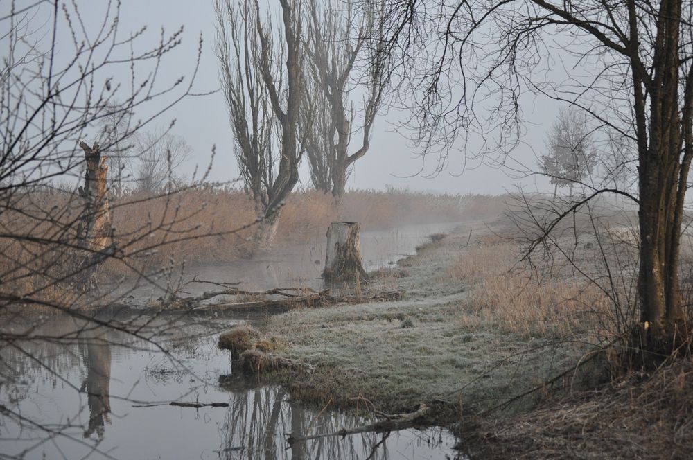 Naturschutzgebiet Neerach