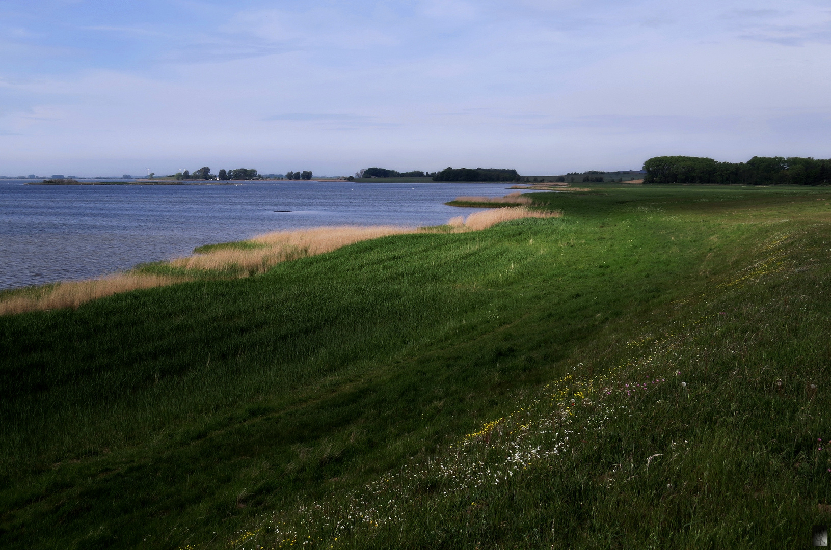 Naturschutzgebiet Neuendorfer Wiek