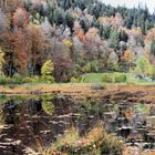 Naturschutzgebiet Nonnenmattweiher in Herbststimmung ...