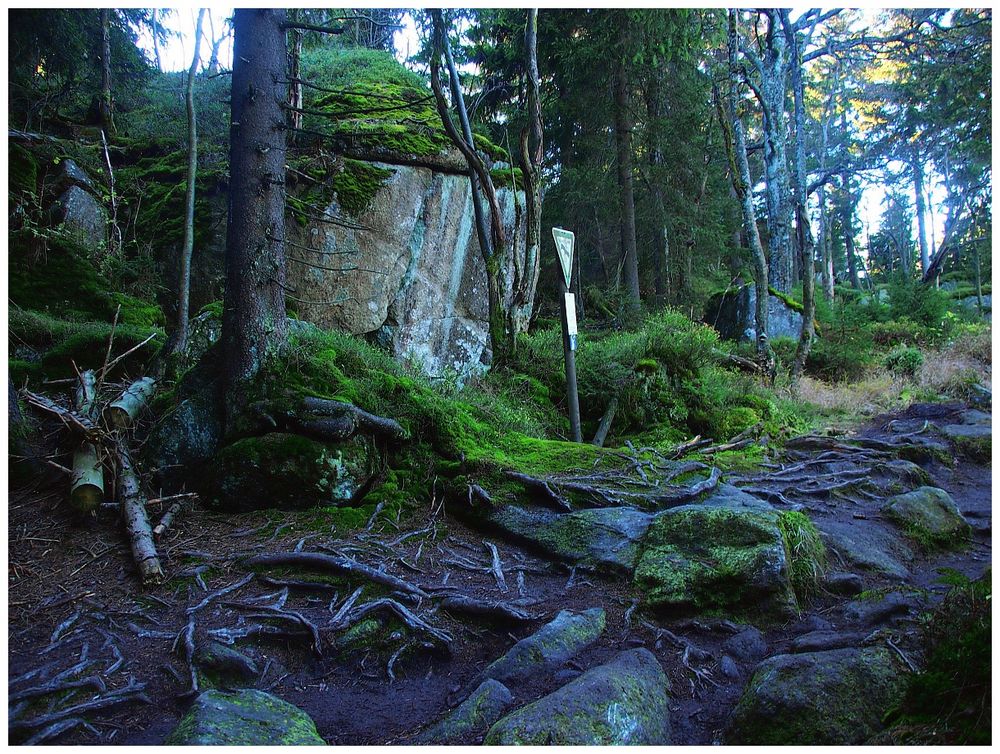 Naturschutzgebiet Nußhardt