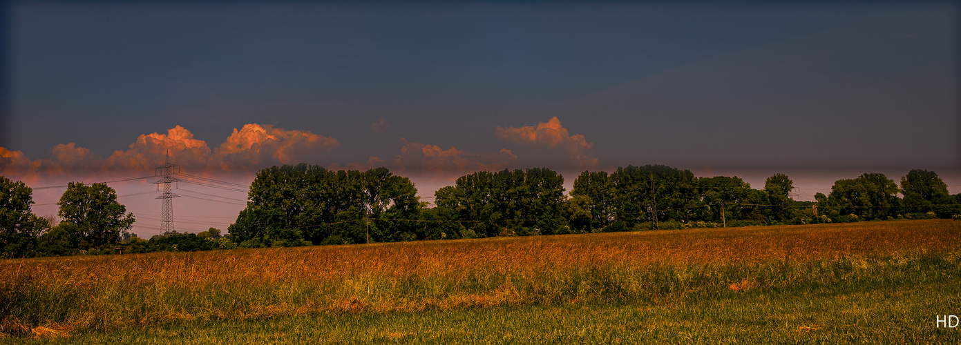 Naturschutzgebiet Oberbruchwiesen