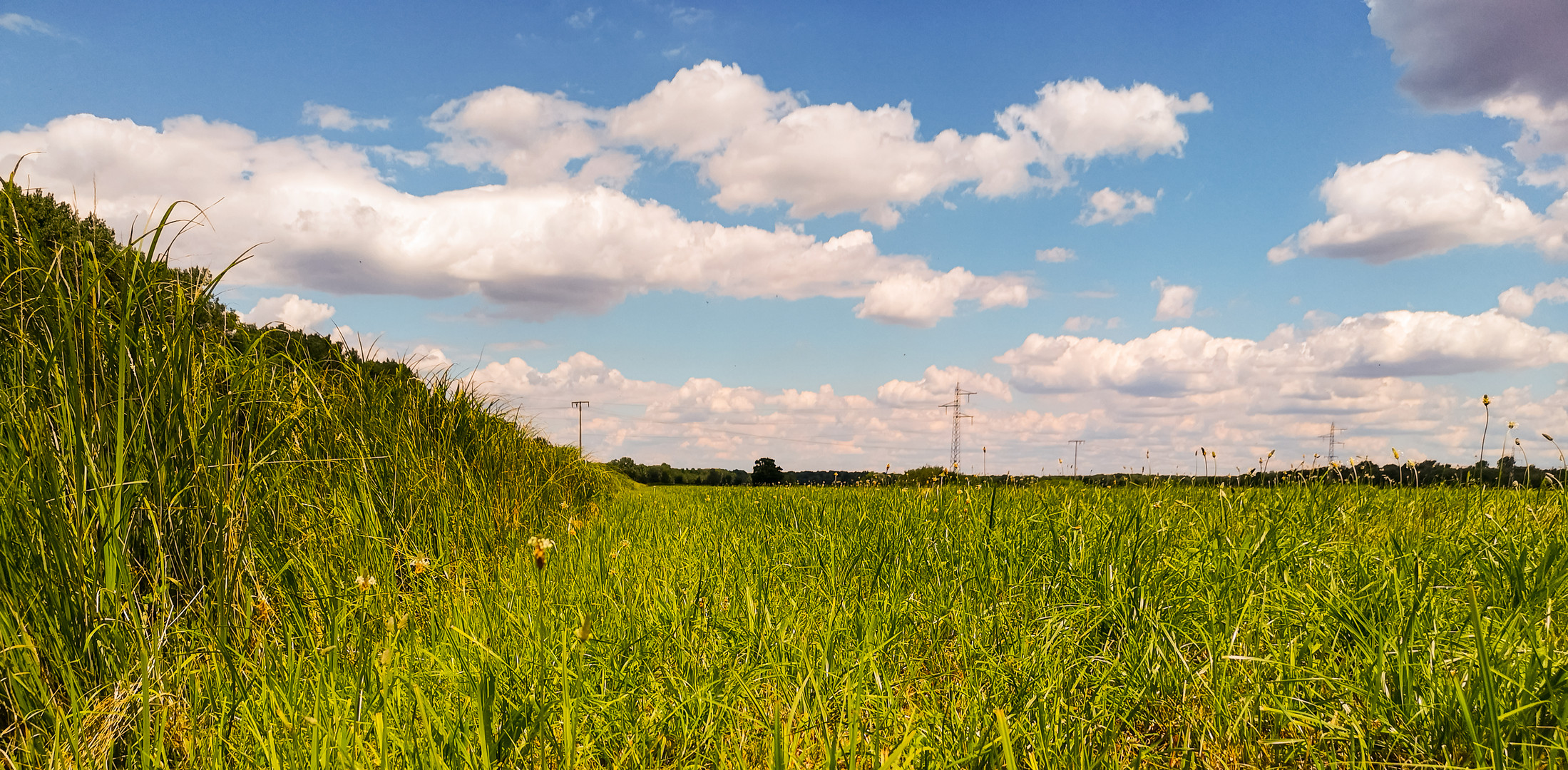 Naturschutzgebiet Oberbruchwiesen