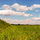 Naturschutzgebiet Oberbruchwiesen