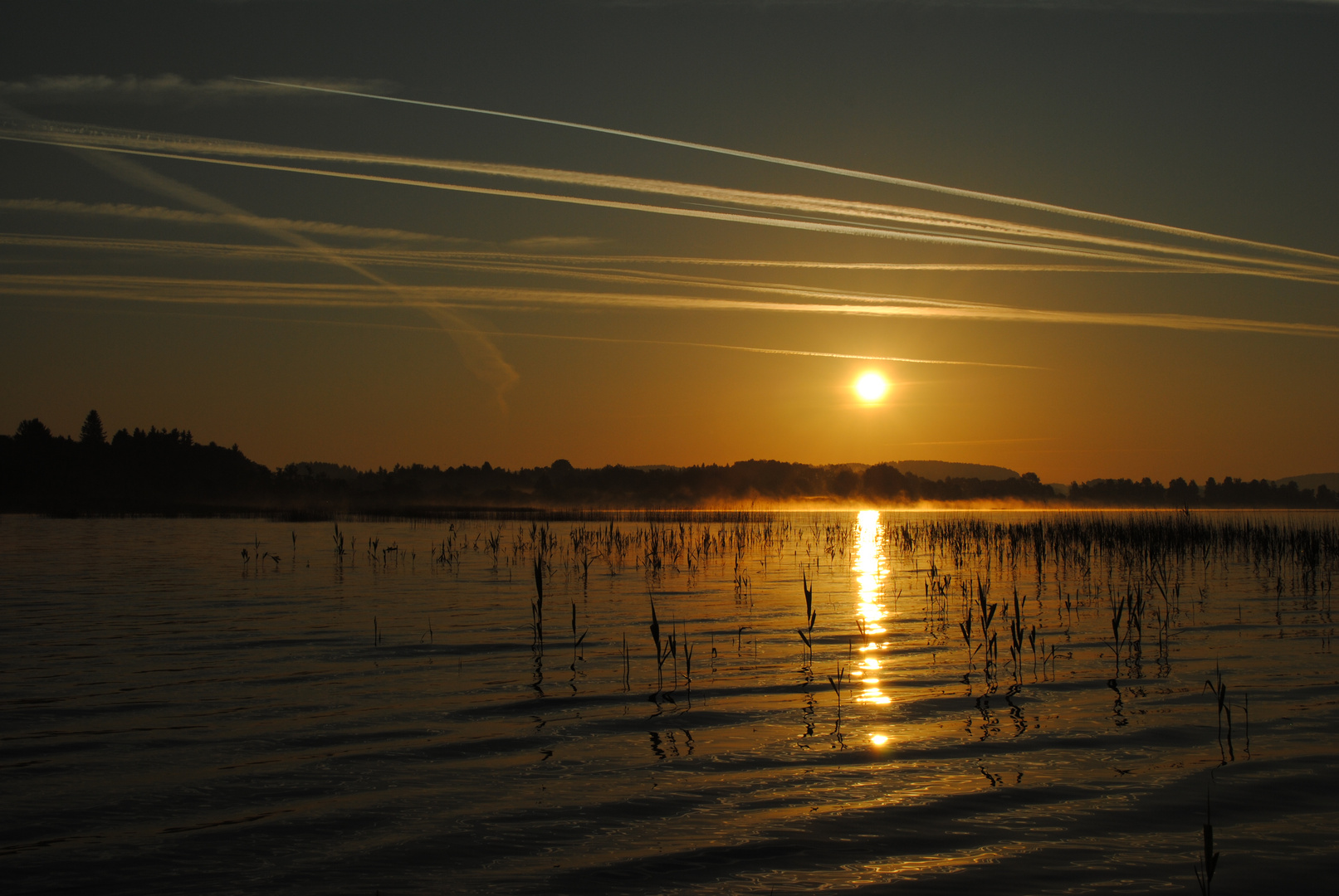 Naturschutzgebiet Obertrumersee