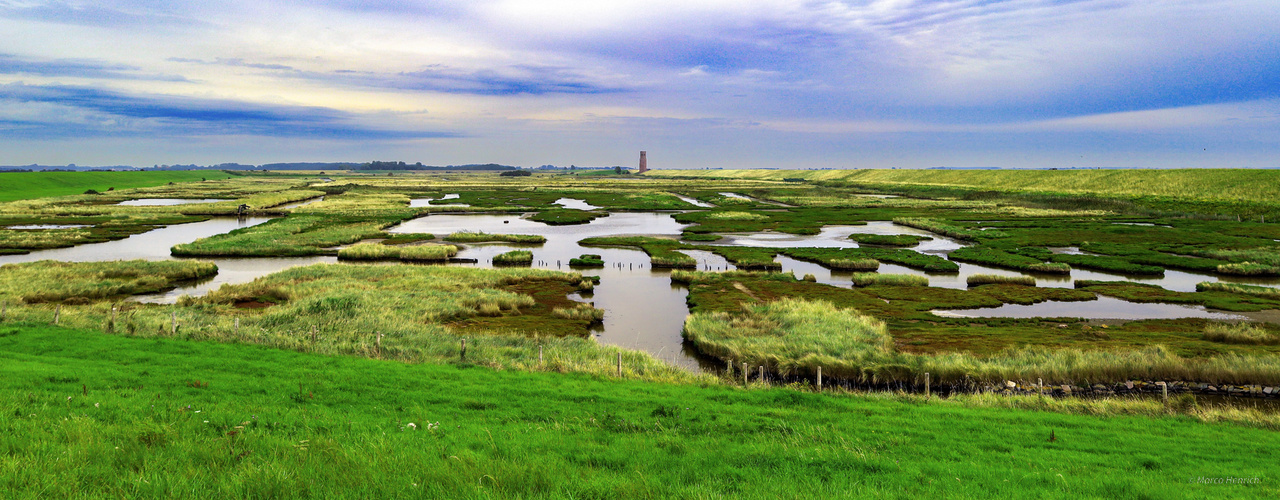 Naturschutzgebiet Oosterschelde