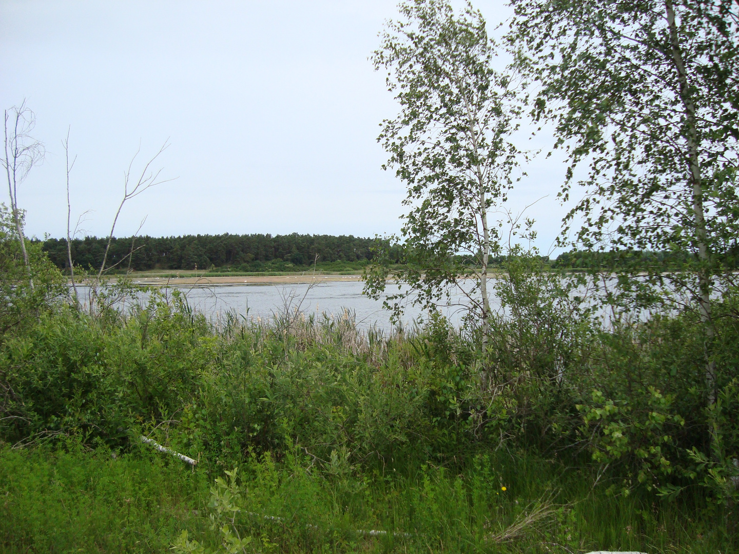 Naturschutzgebiet Peenetal