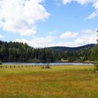 Naturschutzgebiet Prebersee