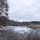 Naturschutzgebiet Raakmoor