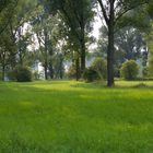 Naturschutzgebiet Rheinauen