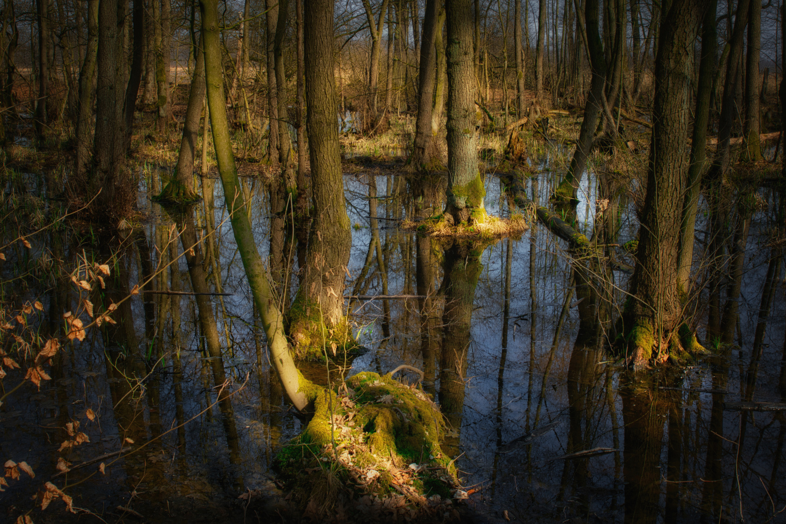 Naturschutzgebiet Riddagshausen