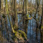 Naturschutzgebiet Riddagshausen