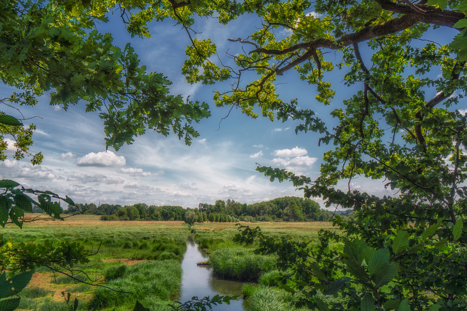 Naturschutzgebiet Riddagshausen