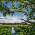 Naturschutzgebiet Riddagshausen