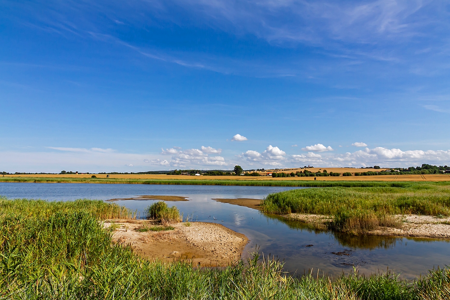 Naturschutzgebiet Riedensee