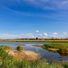 Naturschutzgebiet Riedensee