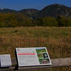 Naturschutzgebiet Rodderberg