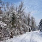 Naturschutzgebiet Rußheimer Altrhein - Elisabethenwört