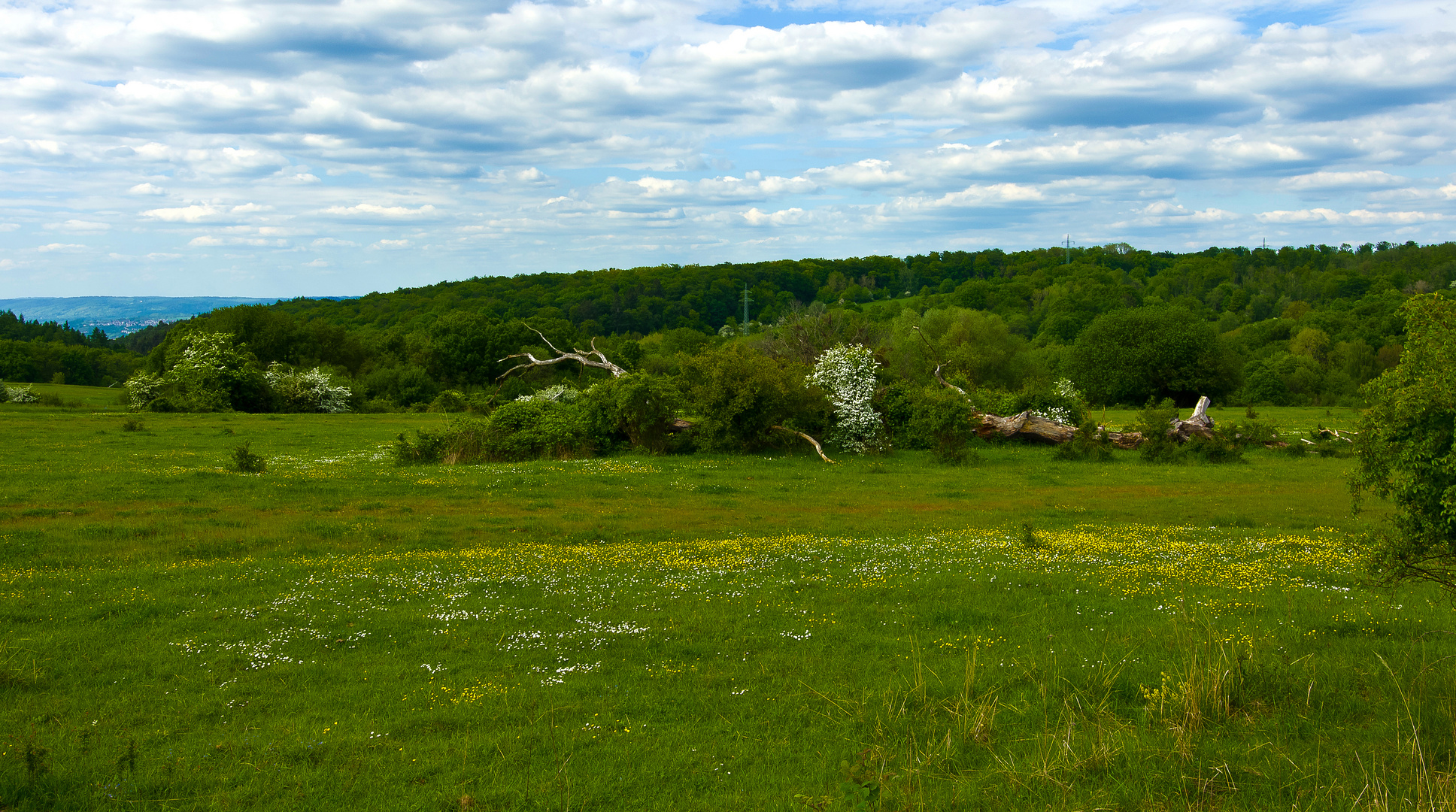 Naturschutzgebiet Schmidtenhöhe, Koblenz Foto & Bild reportage