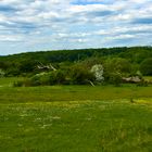 Naturschutzgebiet Schmidtenhöhe, Koblenz