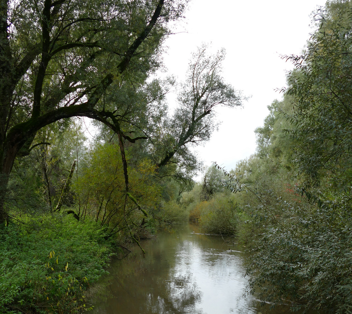 Naturschutzgebiet Seefelder Aachmündung