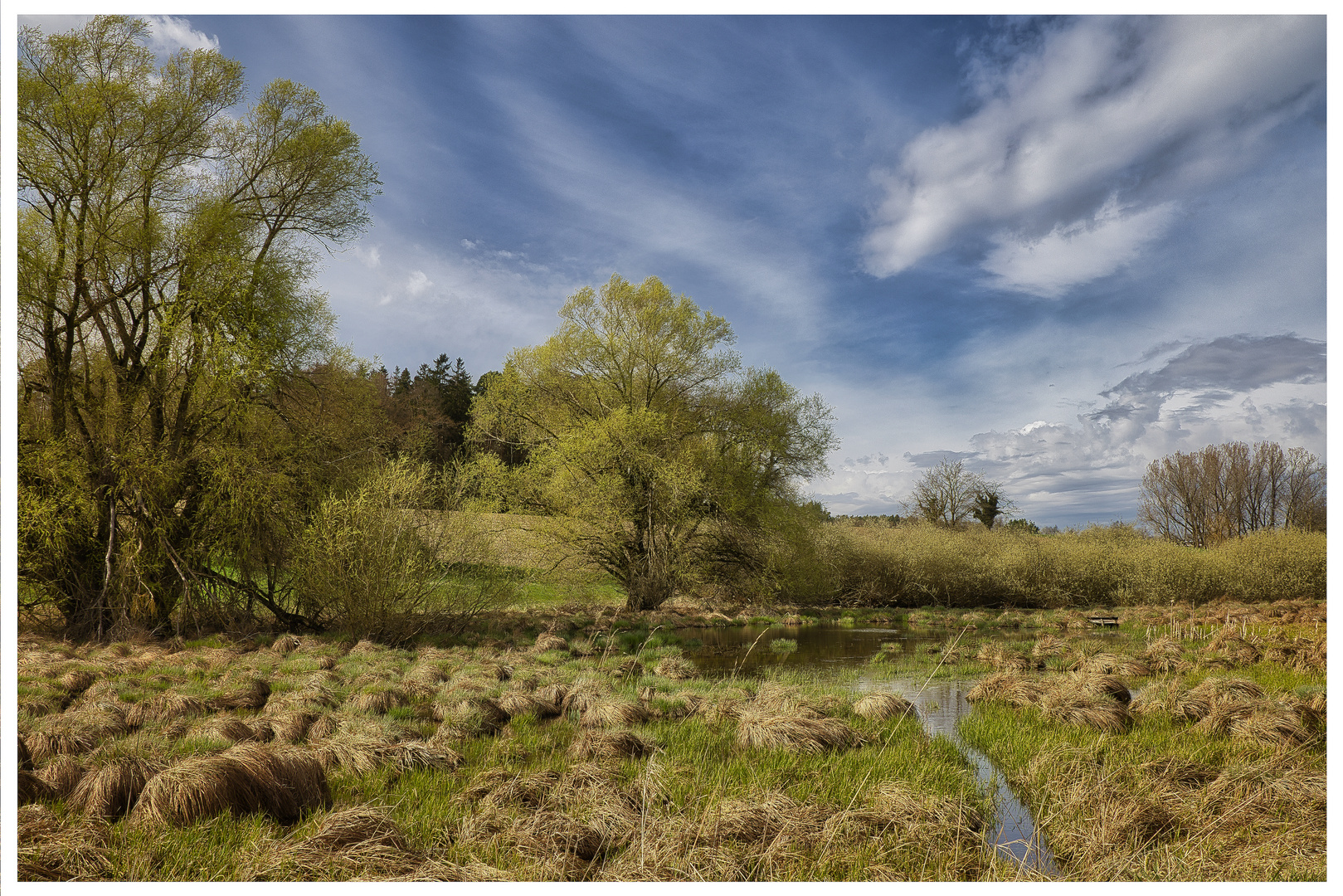 Naturschutzgebiet "Segete" VI