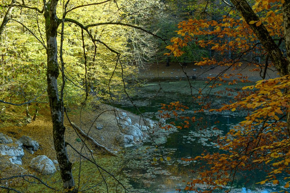 Naturschutzgebiet "Sieben Seen" 