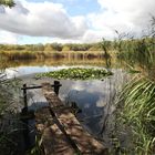 Naturschutzgebiet Siebleber Teich