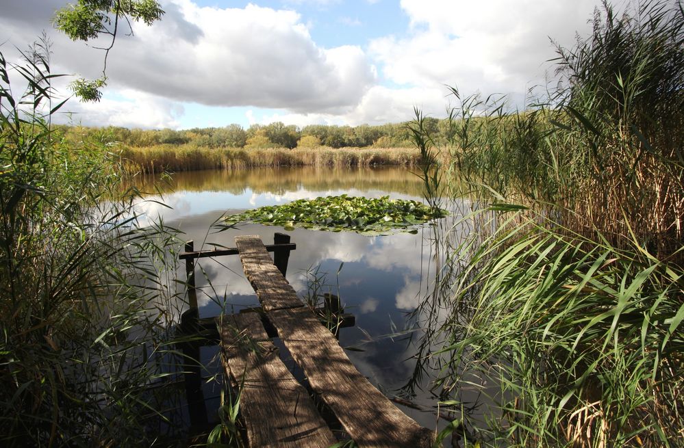 Naturschutzgebiet Siebleber Teich