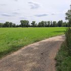 Naturschutzgebiet Siegauen auf Bonner Stadtgebiet.