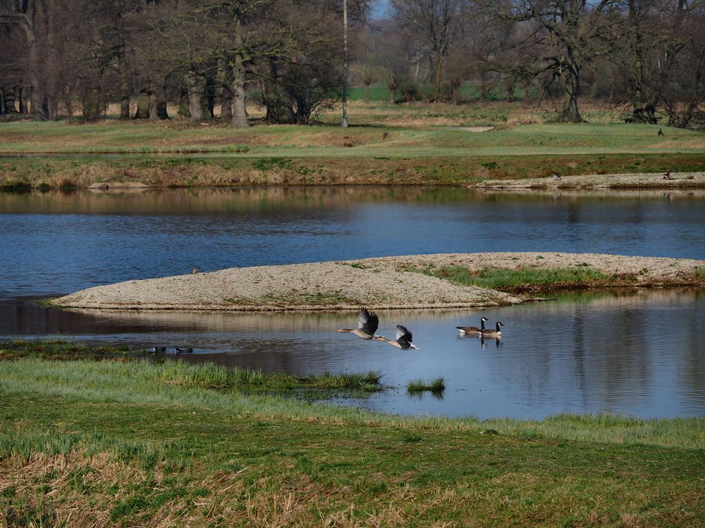 Naturschutzgebiet Steinhorster Becken