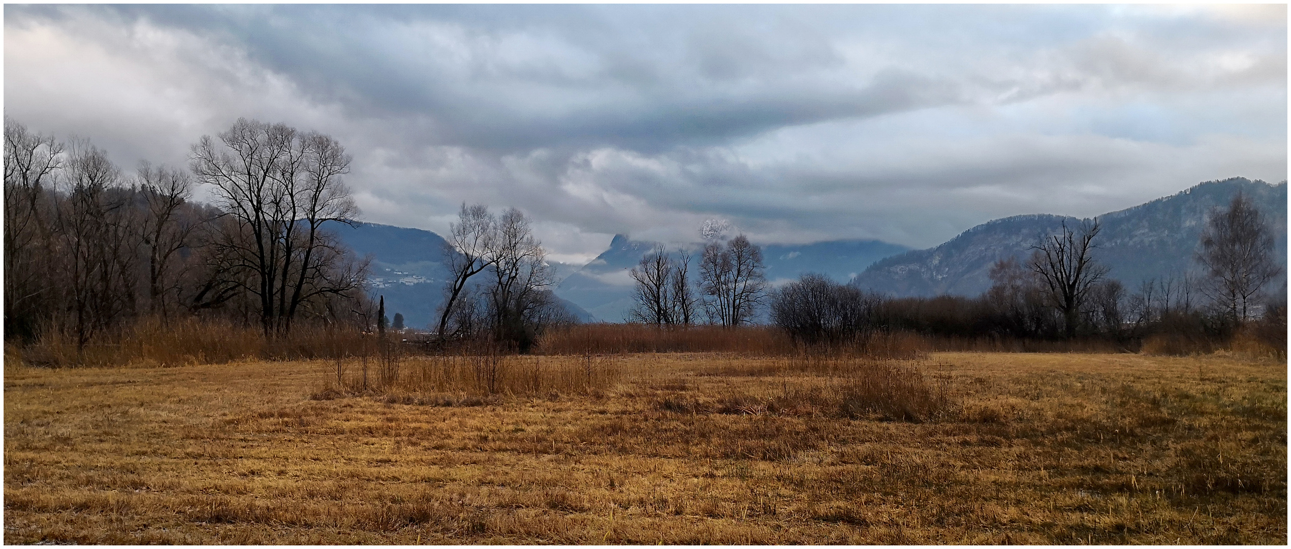 Naturschutzgebiet Steinibachried in Horw