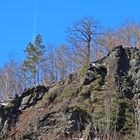 Naturschutzgebiet Steinicht im Elstertal