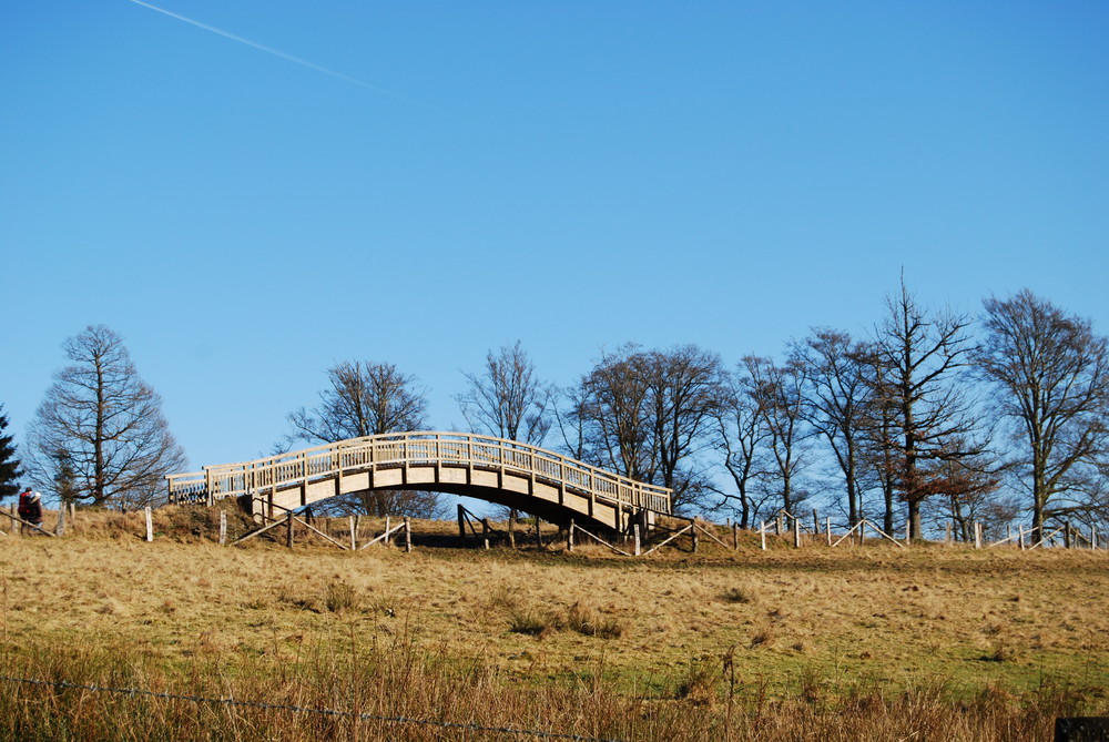 Naturschutzgebiet Stilleking, Lüdenscheid (Dez. 2007)