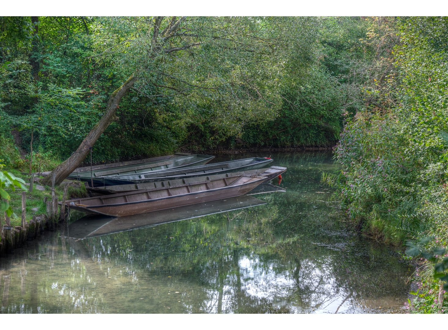 Naturschutzgebiet Taubergiessen