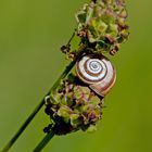 Naturschutzgebiet Totengrin