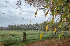 Naturschutzgebiet Unteres Recknitztal