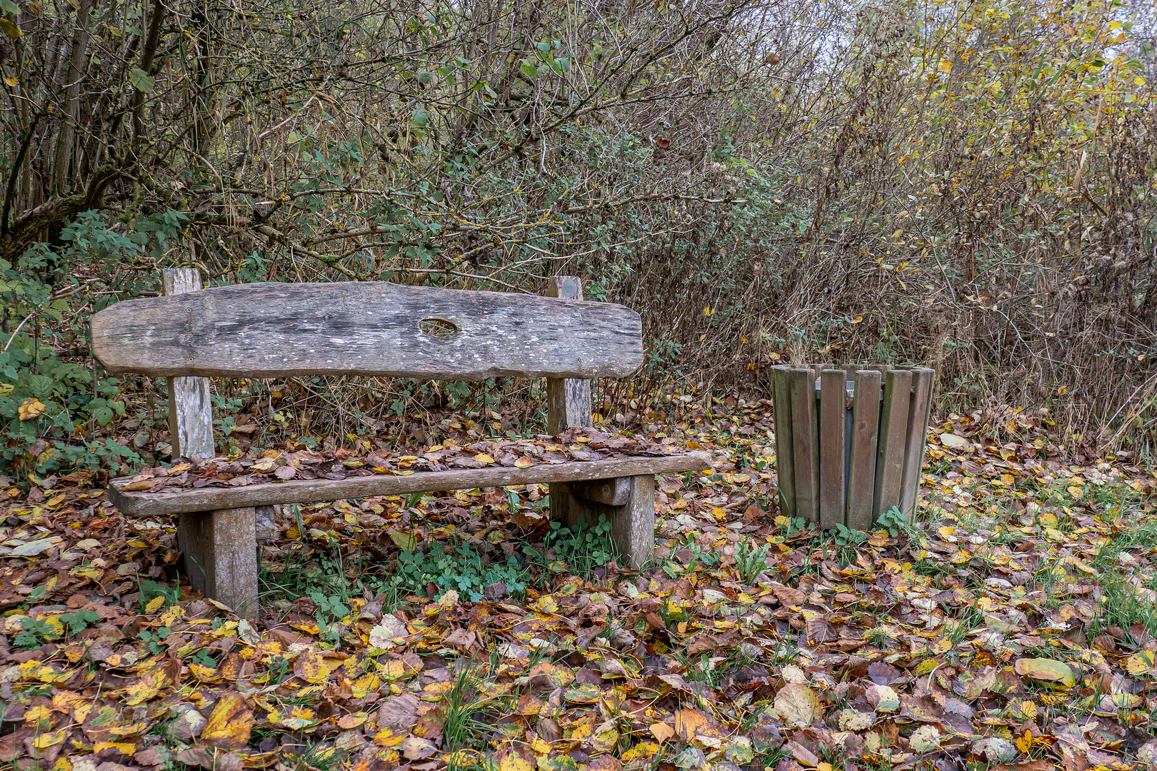 Naturschutzgebiet Unteres Recknitztal