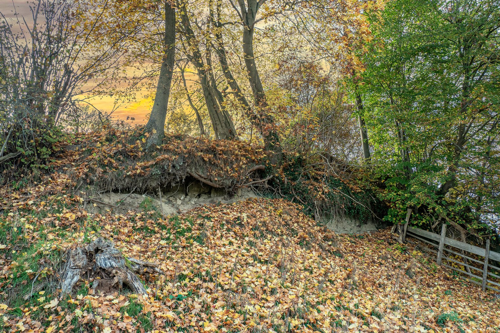 Naturschutzgebiet Unteres Recknitztal