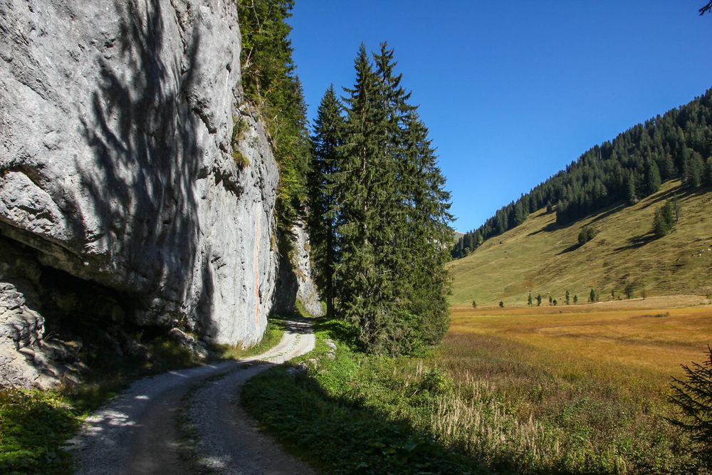 Naturschutzgebiet Vanil Noir