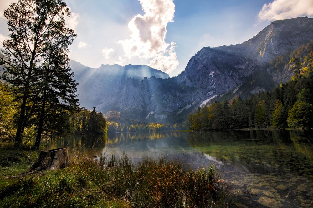 Naturschutzgebiet Vorderer und Hinterer Langbathsee 