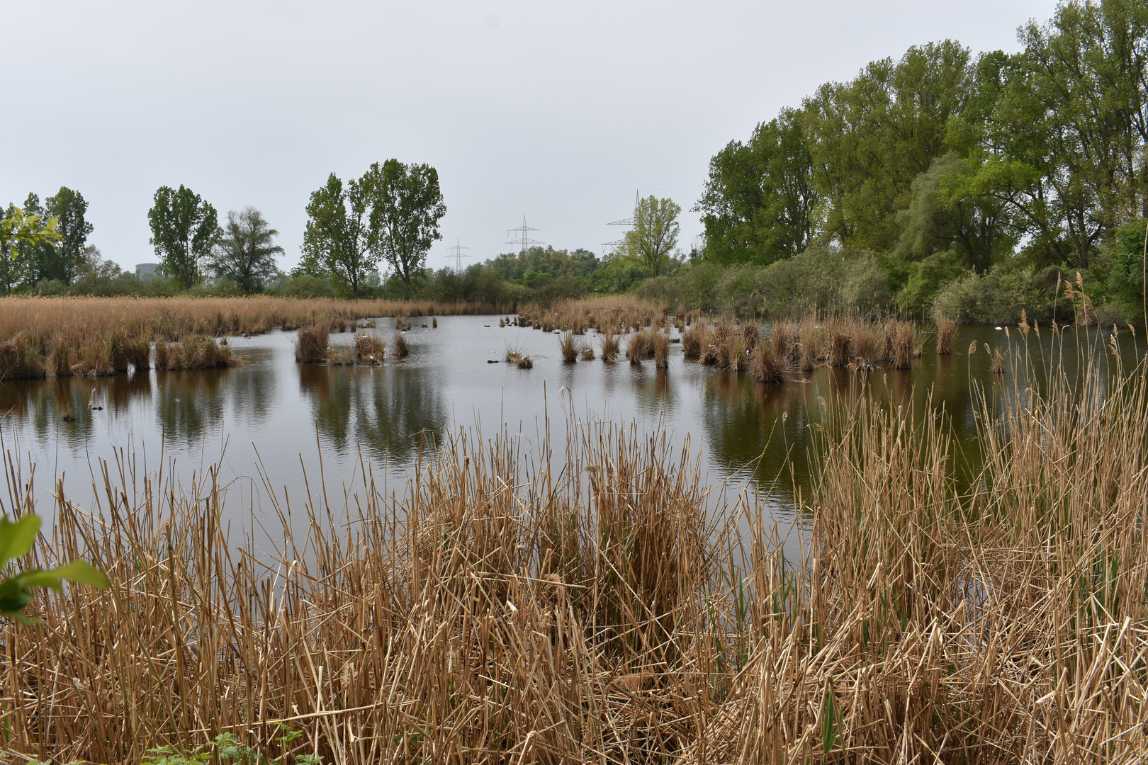 Naturschutzgebiet Wagbachniederung