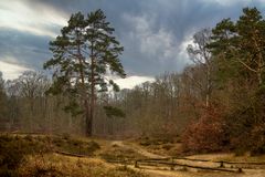 Naturschutzgebiet Wittenbergen in Hamburg an der Elbe ...