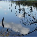 Naturschutzgebiet Wittmoor - Norderstedt/Hamburg