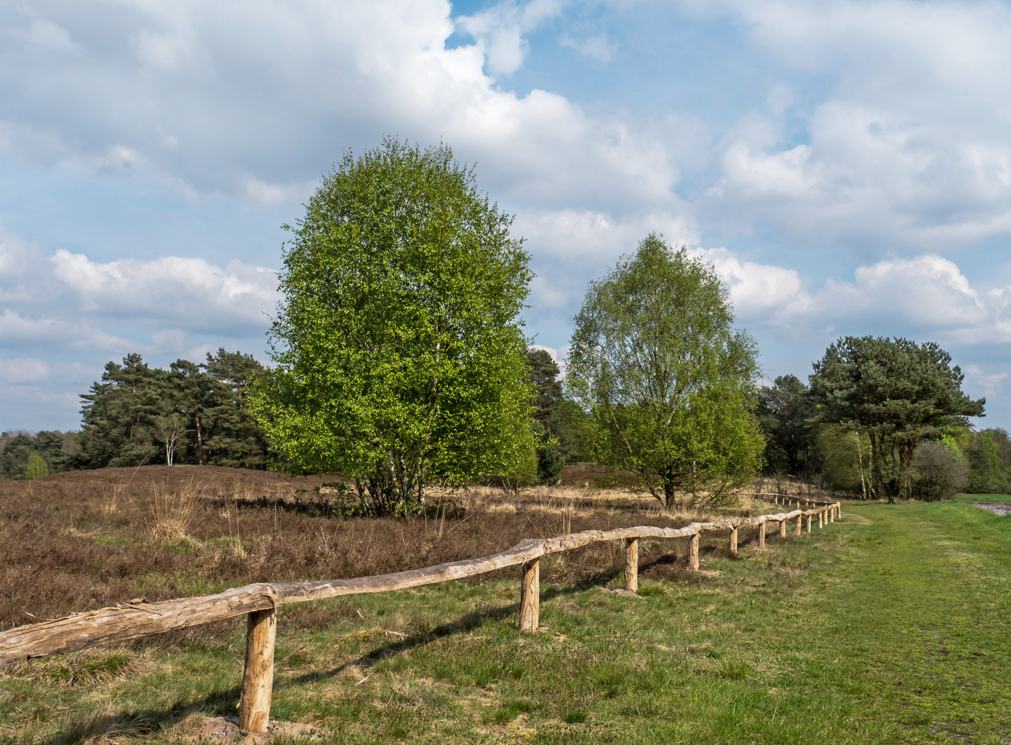 Naturschutzgebiet Wolfsgrund (Niedersachsen)