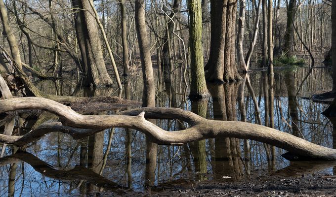 Naturschutzgebiet Wuhletal