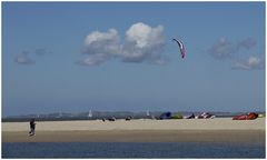 Naturschutzgebiet "Zwarte Polder" ...