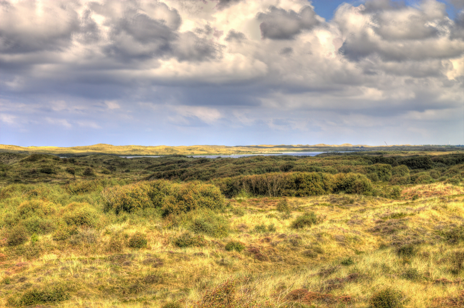 Naturschutzgebiet zwischen den Dünen in Sint Maartinzee (NL)