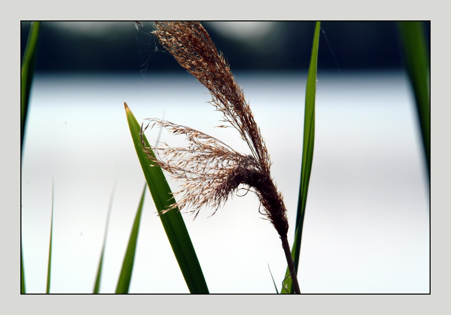 Naturschutzgebiete Teil3