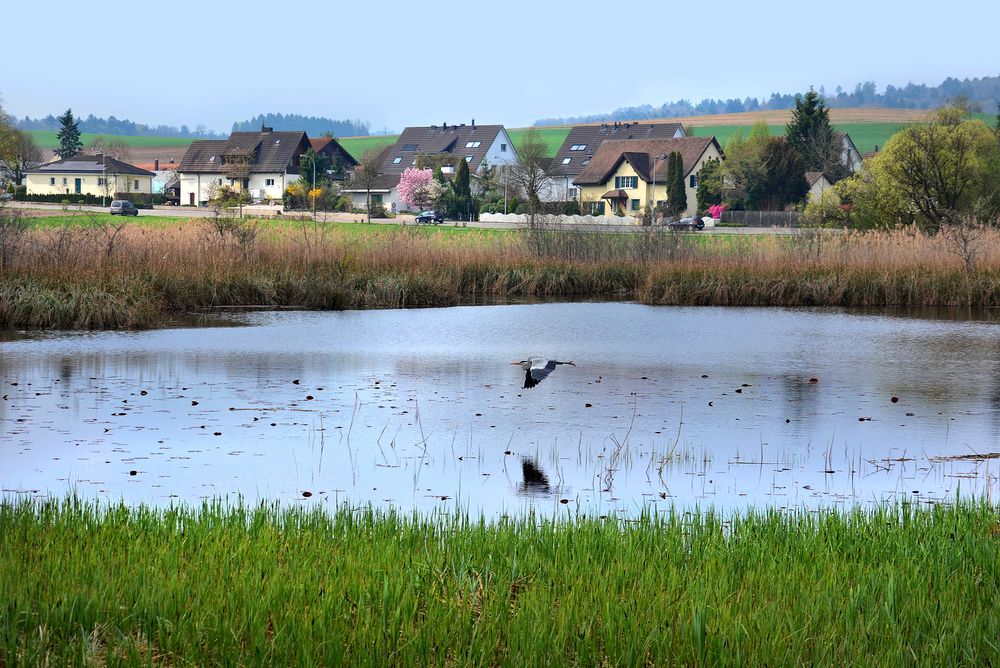 Naturschutzhasli